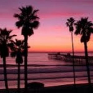 Meet your Posher, Peyton